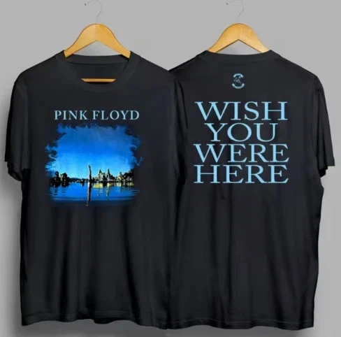 Pink Floyd Dark Side of the Moon Vintage Band Tee